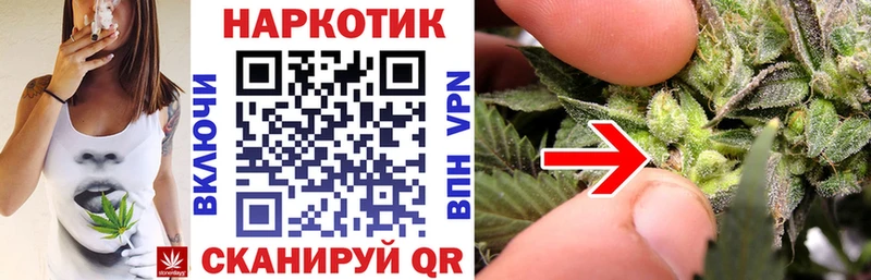 Наркотические вещества Кушва Амфетамин A PVP МЕФ MDMA ЭКСТАЗИ Псилоцибиновые грибы Каннабис