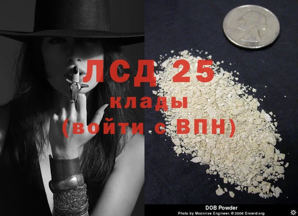 ешки Белокуриха
