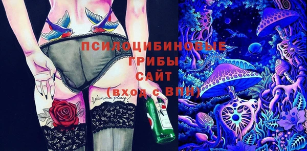 СК Беломорск