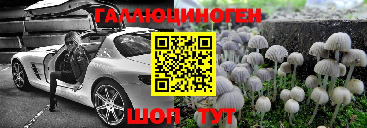 Псилоцибиновые грибы Cubensis Кушва