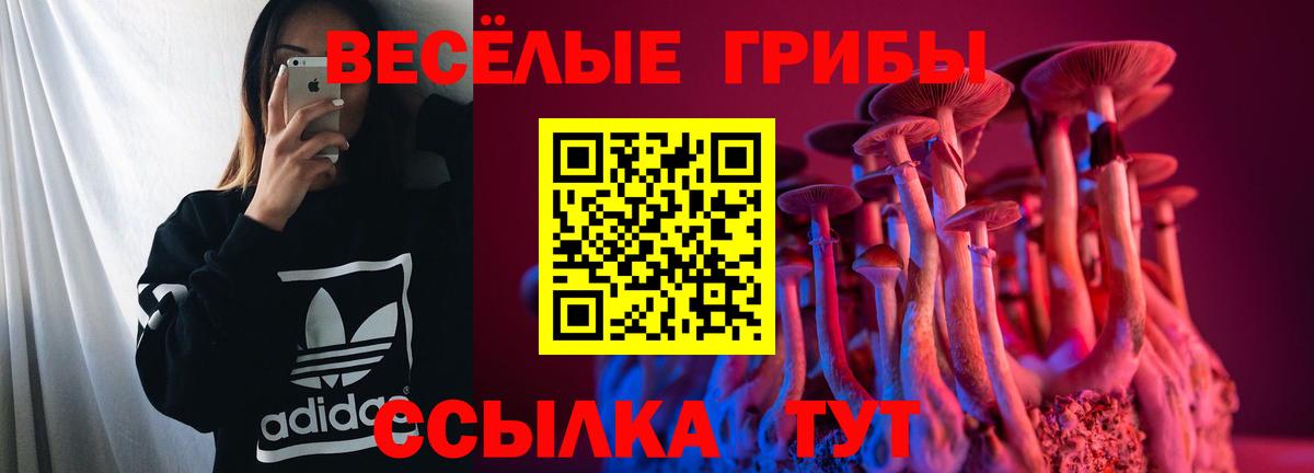 Кушва  магазин    Псилоцибиновые грибы Psilocybine cubensis  Вход с VPN  Псилоцибиновые грибы мухоморы 